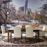 Central Park Winter Skyline Wall Mural 8