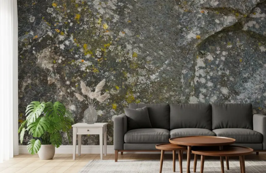 Stone Texture Wall Mural -2566622