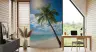 Sunny Palm Fronds and Blue Cloud Sky Wallpaper 7