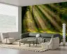 Sunlit Forest Path Wall Mural 8