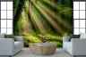 Sunlit Forest Path Wall Mural 7