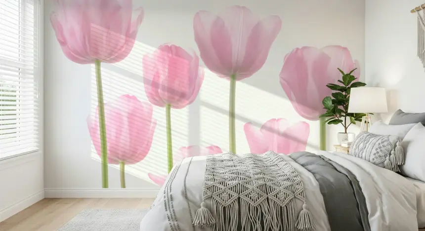 Tulip Bulbs Wall Mural