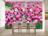Vibrant Pink Tulip Garden Wall Mural 8
