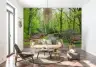 Lush Green Forest Path Wall Mural 6