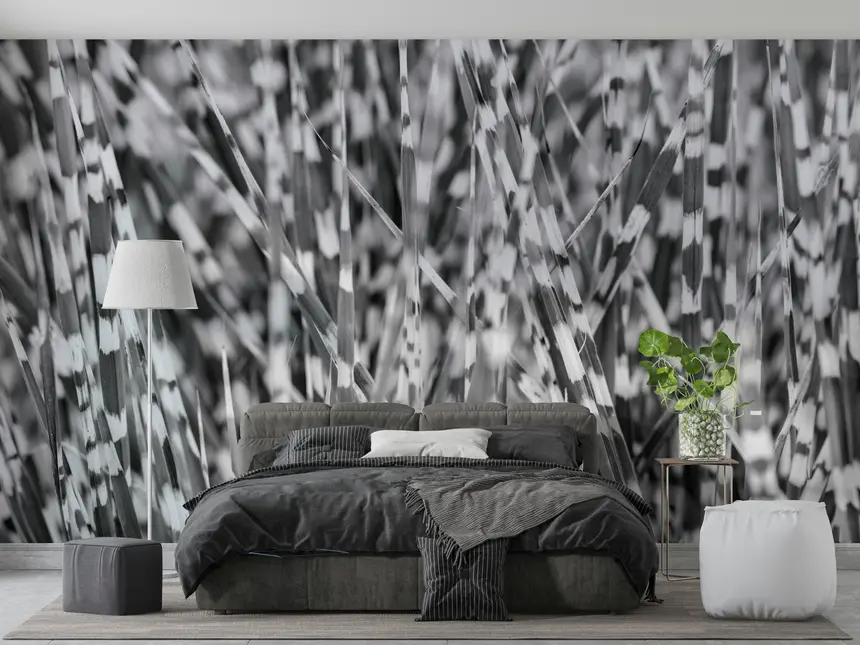 Zebra Grass Wall Mural