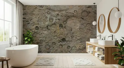 Fossil Imprint Textured Wall Mural
