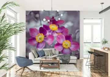 Pink Anemone Flower Wall Mural