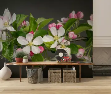Apple Blossom Branch Wall Mural