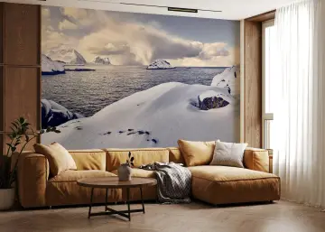 Expansive Winter Ocean Snowy Peaks Wallpaper Mural