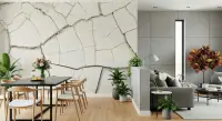 Cracked Earth Texture Wall Mural