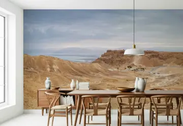 Desert Mountain Landscape Wall Mural