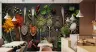 Spices and Herbs Wall Mural 1