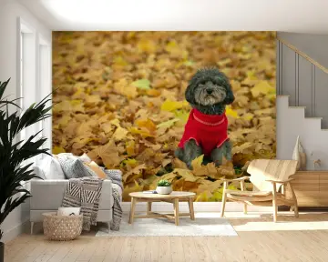 Dog in Red Sweater Autumn Leaves Wall Mural