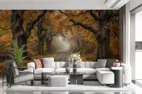 Autumn Forest Road Wall Mural