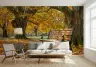 Autumn Park Bench Scenic Wall Mural 2