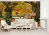 Autumn Park Bench Scenic Wall Mural 3