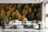 Autumn Forest Canopy Wall Mural 2