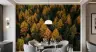 Autumn Forest Canopy Wall Mural 3