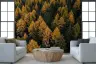Autumn Forest Canopy Wall Mural 1