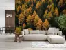 Autumn Forest Canopy Wall Mural 4