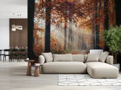 Misty Golden Autumn Forest Sunrays Path Wallpaper Mural