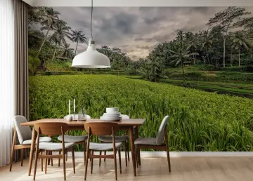 Lush Rice Terraces Wall Mural