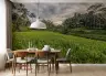 Lush Rice Terraces Wall Mural 1