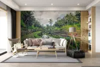 Terraced Rice Field Landscape Wall Mural