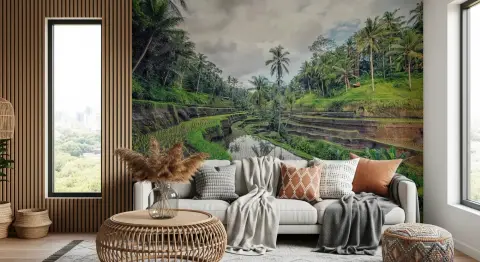 Terraced Rice Field Landscape Wall Mural