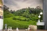 Lush Green Rice Terraces Wall Mural 2