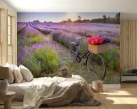 Golden Hour Lavender Fields with Vintage Bicycle and Rose Basket Wallpaper