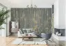Autumn Birch Forest Wall Mural 4