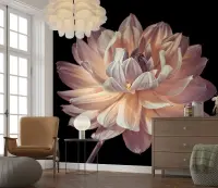 Large Dahlia Flower Wall Mural