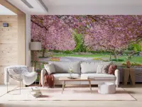 Pink Cherry Blossom Garden Wall Mural