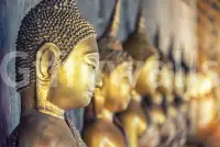 Serene Golden Buddha Idols Wall Mural