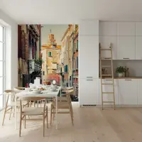 Venice Canal Historic Cityscape Wall Mural