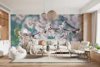 Blushing Cherry Blossom Floral Wall Mural