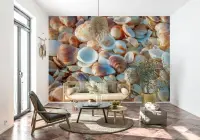 Natural Seashell Beach Wall Mural