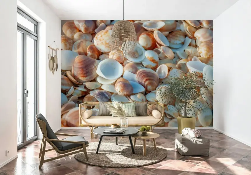 Coastal Shellscape Wall Mural