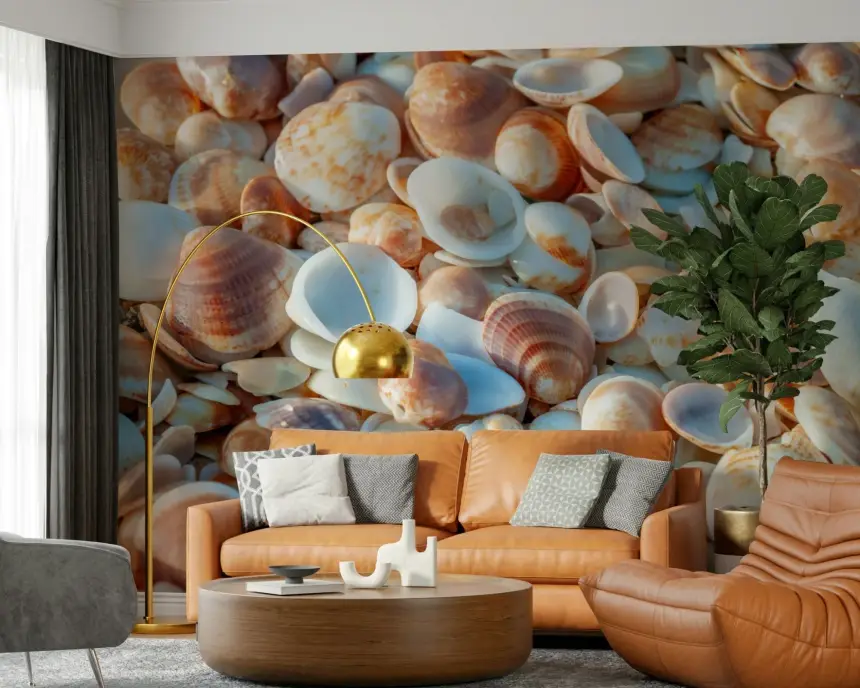 Coastal Shellscape Wall Mural