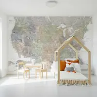 Muted Tones North America Detailed Map Wallpaper Mural