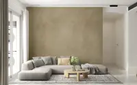 Warm Beige Textured Finish Wall Mural