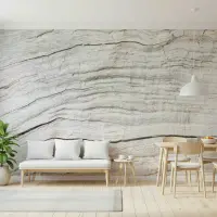 Subtle Grey Wood Grain Texture Wall Mural