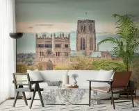 Historic European Cathedral Scenic Wall Mural
