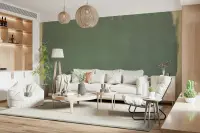 Distressed Sage Green Textured Wall Mural