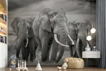 Grayscale Elephant Trio Stormy Sky Wallpaper Mural