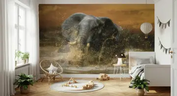 Majestic Elephant Splashing Water Wall Mural