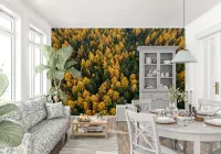 Golden Autumn Forest Canopy Wall Mural