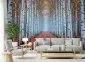 Misty Autumn Birch Forest Wall Mural 4