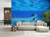 Majestic Manta Ray Deep Ocean Wall Mural